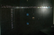 Porcelain and glass shower tile installation in Fort Collins, Colorado