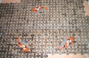 Whte Thassos Marble master bathroom tile remodel