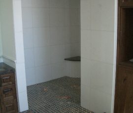 Whte Thassos Marble master bathroom tile remodel